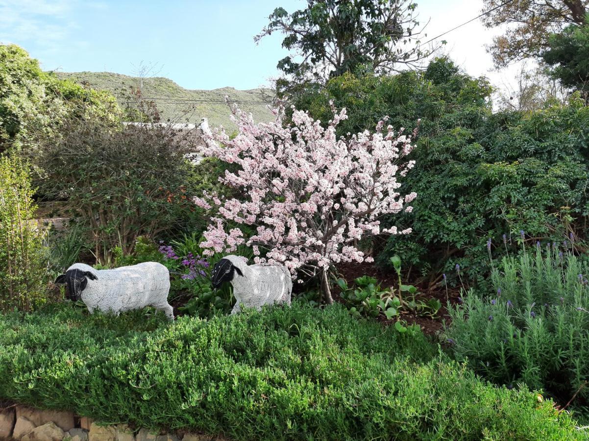 Over Karoo Inn Barrydale Bagian luar foto